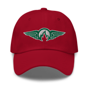 AIR DR. EPIC - Baseball Hat - Dad Hat - Style 62