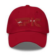 DR. EPIC - Stripes - Baseball Hat - Dad Hat - Style 32