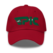DR. EPIC - Stripes - Baseball Hat - Dad Hat - Style 62