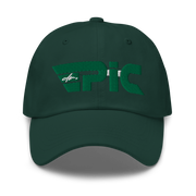 DR. EPIC - Stripes - Baseball Hat - Dad Hat - Style 62
