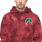 DR. EPIC + Champion Men & Women Hoodie A26