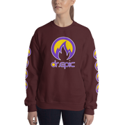 DR.EPIC - Men & Women Sweatshirt – Style 2510